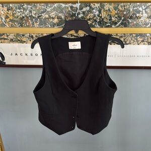 Aritzia wilfred vest